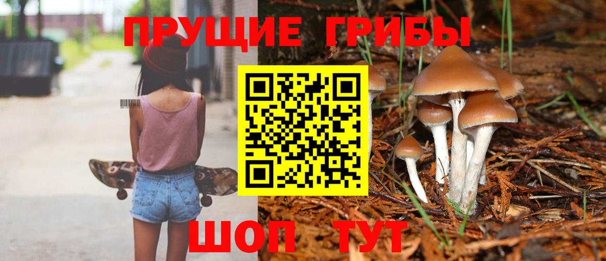 Галлюциногенные грибы мицелий  Галлюциногенные грибы Psilocybe  Вход с VPN  Симферополь 